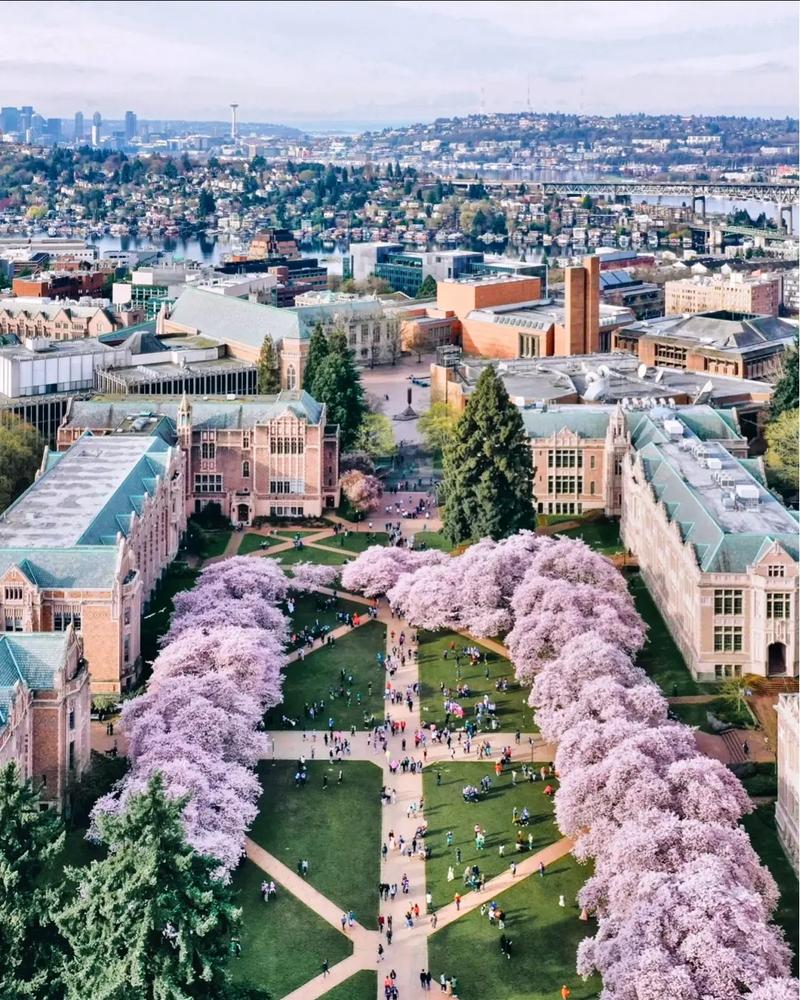 洛约拉马利蒙特大学